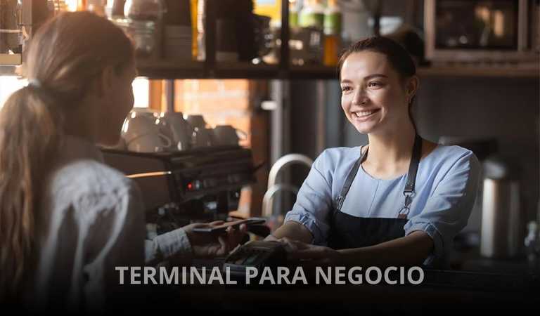 TERMINAL-PARA-NEGOCIO TERMINAL PARA NEGOCIO