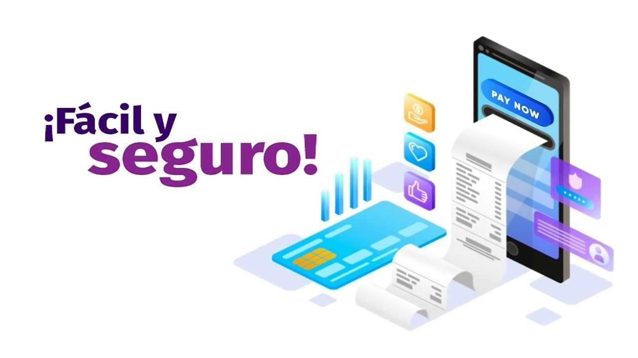 Pago en linea